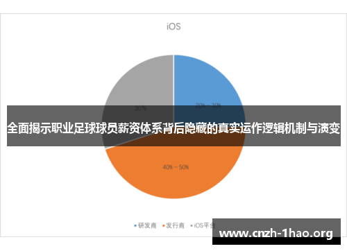 全面揭示职业足球球员薪资体系背后隐藏的真实运作逻辑机制与演变